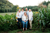 2024-08-01 Sunflower Mini - De Gobbi 4