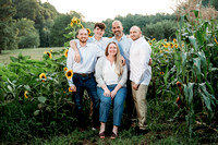 2024-08-01 Sunflower Mini - De Gobbi 3