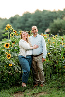 2024-08-01 Sunflower Mini - De Gobbi 9